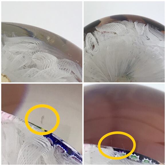 Perthshire PP11 1976 Spaced Millefiori Animal Cane Penguin Squirrel Paperweight - Picture 11 of 13